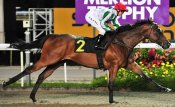 Steven King guides Foxtrot Hotel to victory on Friday night giving Cliff Brown a winning treble.<br>Photo by Singapore Turf Club